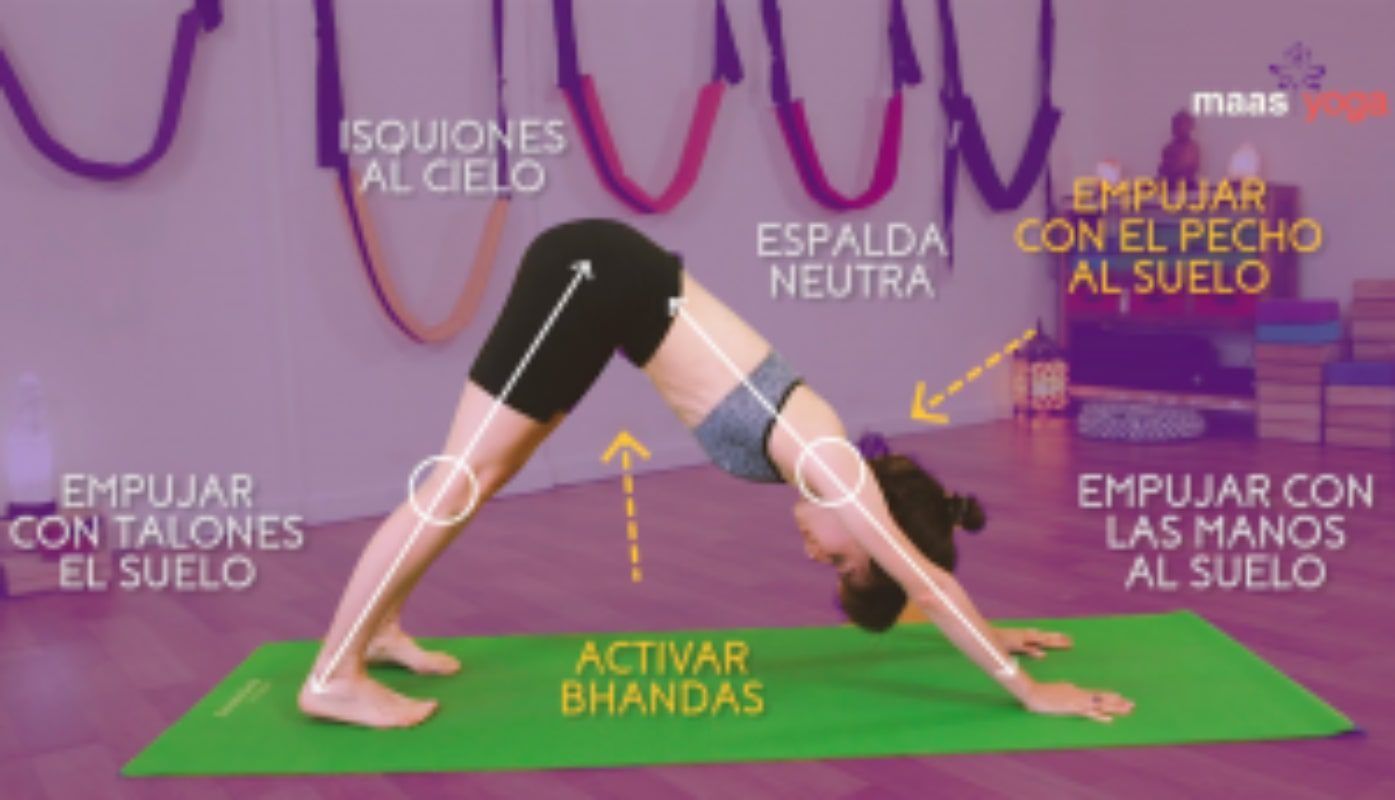 Ado Mukha Avanasana