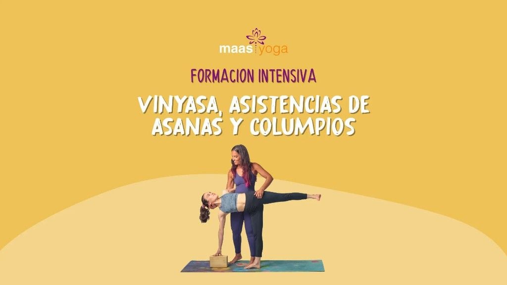 Formación Intensiva en Vinyasa, Asistencias de Asanas y Columpios